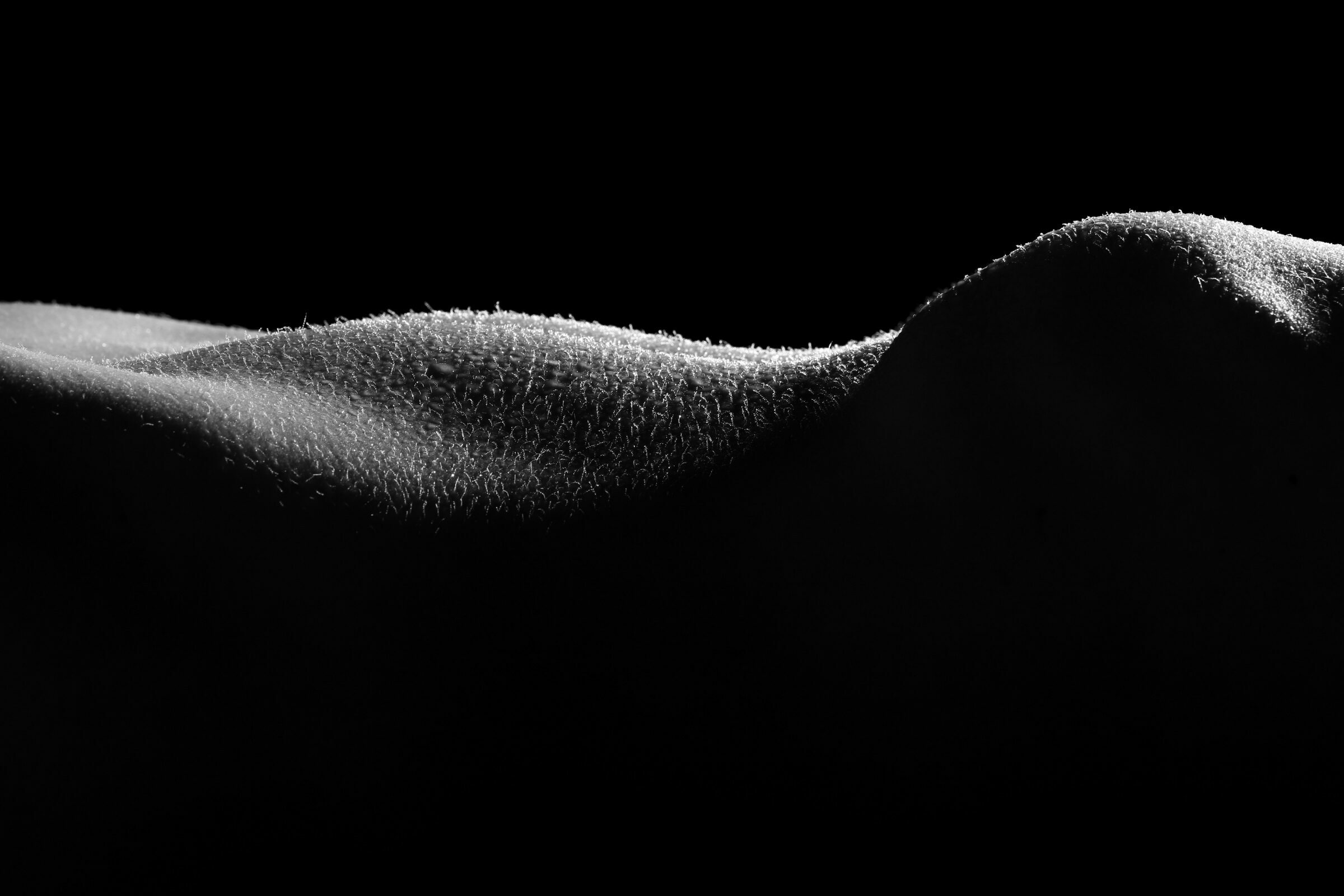 Foto de MARCO ALFREDO FOTOGRAFIA 16