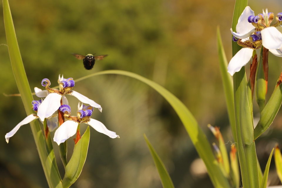 Exposição Primavera